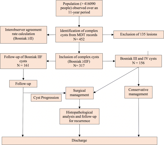 Complex Renal Cysts Bosniak Iif Interobserver Agreement Progression And Malignancy Rates Springerlink Complex Renal Cysts Bosniak Iif Interobserver Agreement Progression And Malignancy Rates Springerlink