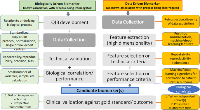 Frontiers  Specific imaging features indicate the clinical