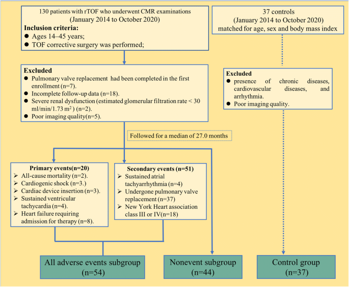 LV Strain May Offer Independent Prognostic Utility in Obstructive  Hypertrophic Cardiomyopathy – Consult QD