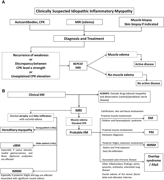 Idiopathic inflammatory myopathies: a comprehensive review, new ...
