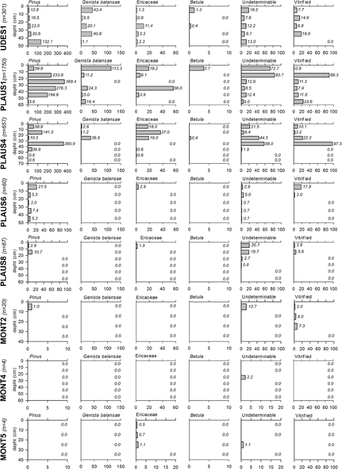 Holocene treeline changes on the south slope of the Pyrenees: a 