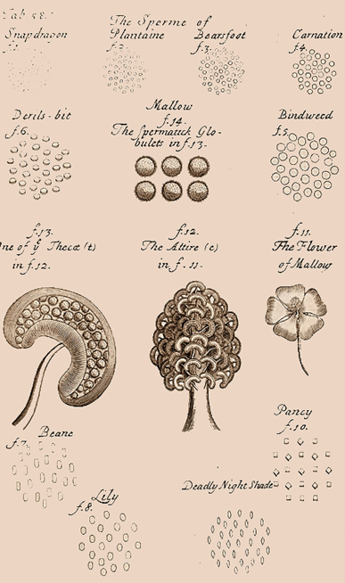 The Roots Of Pollen Analysis The Road To Lennart Von Post Springerlink