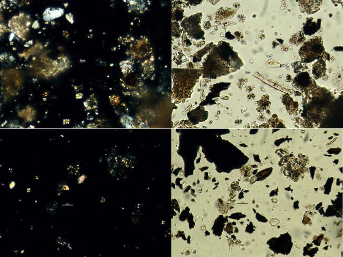 MicroArchaeology MicroArchaeology