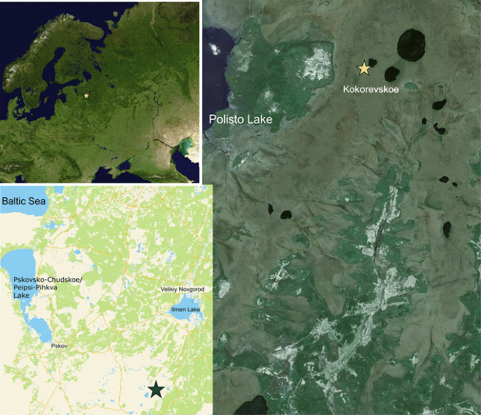 Vegetation And Climate Changes Within And Around The Polistovo Lovatskaya Mire System Pskov Oblast North Western Russia During The Past 10 500 Years Springerlink