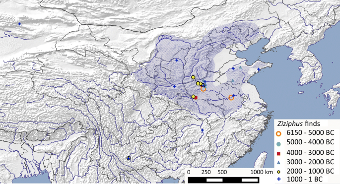 Between Domestication And Civilization The Role Of Agriculture And Arboriculture In The Emergence Of The First Urban Societies Springerlink