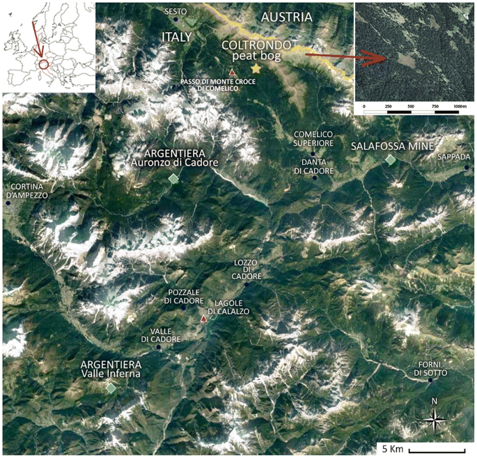 Holocene vegetation history and human impact in the eastern Italian Alps: a  multi-proxy study on the Coltrondo peat bog, Comelico Superiore, Italy |  SpringerLink
