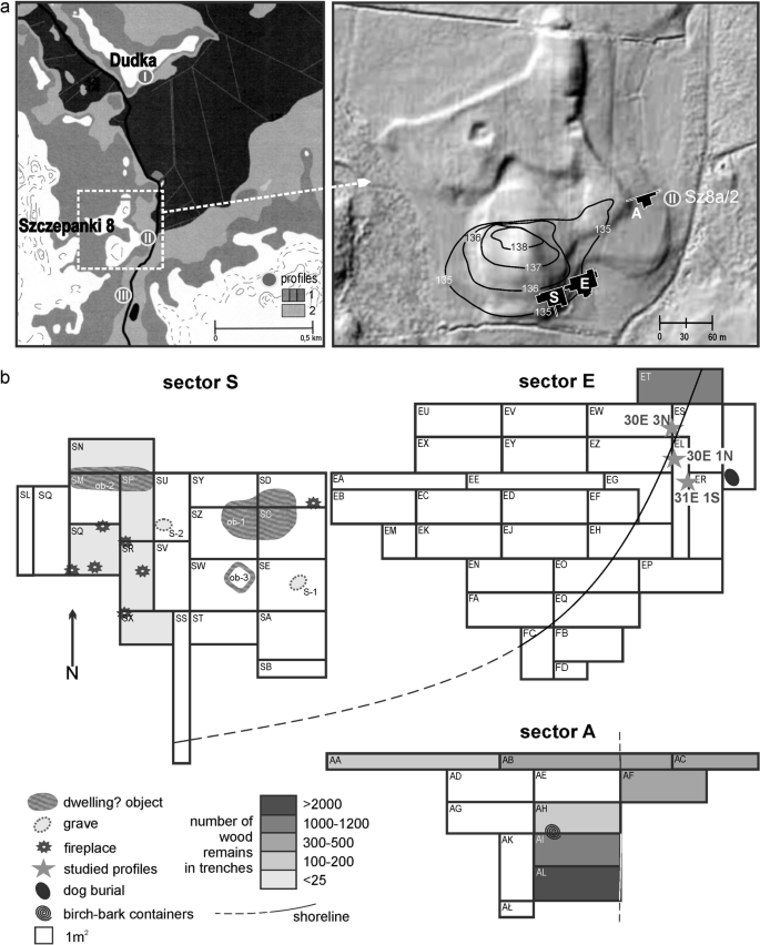 Forests and foragers: exploitation of wood resources by Mesolithic and  para-Neolithic societies in north-eastern Poland | SpringerLink
