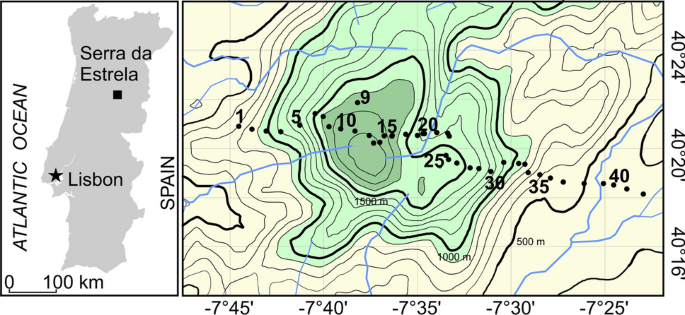 Pollen And Plant Diversity Relationships In A Mediterranean Montane Area Springerlink
