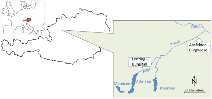 Food And Farming Beyond The Alpine Lake Zone The Archaeobotany Of The Copper Age Settlements Of Lenzing Burgstall And Ansfelden Burgwiese In Upper Austria And An Early Occurrence Of Triticum Spelta Spelt Springerlink