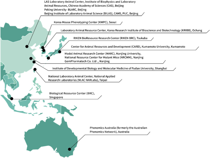 Asian Mouse Mutagenesis Resource Association (AMMRA): mouse genetics and laboratory animal resources in the Asia Pacific | SpringerLink Asian Mouse Mutagenesis Resource Association (AMMRA): mouse genetics and laboratory animal resources in the Asia Pacific | SpringerLink