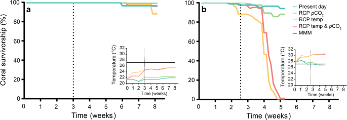 Temporal Effects Of Ocean Warming And Acidification On Coral Algal Competition Springerlink