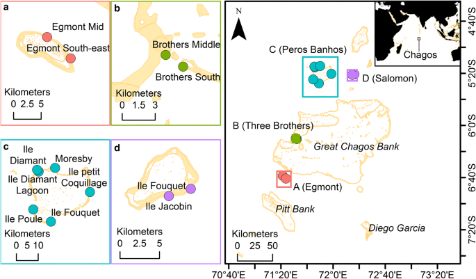 Coral Bleaching Impacts From Back To Back 15 16 Thermal Anomalies In The Remote Central Indian Ocean Springerlink