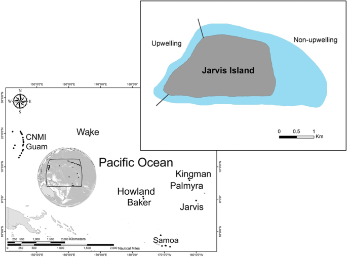 El Nino Associated Catastrophic Coral Mortality At Jarvis Island Central Equatorial Pacific Springerlink
