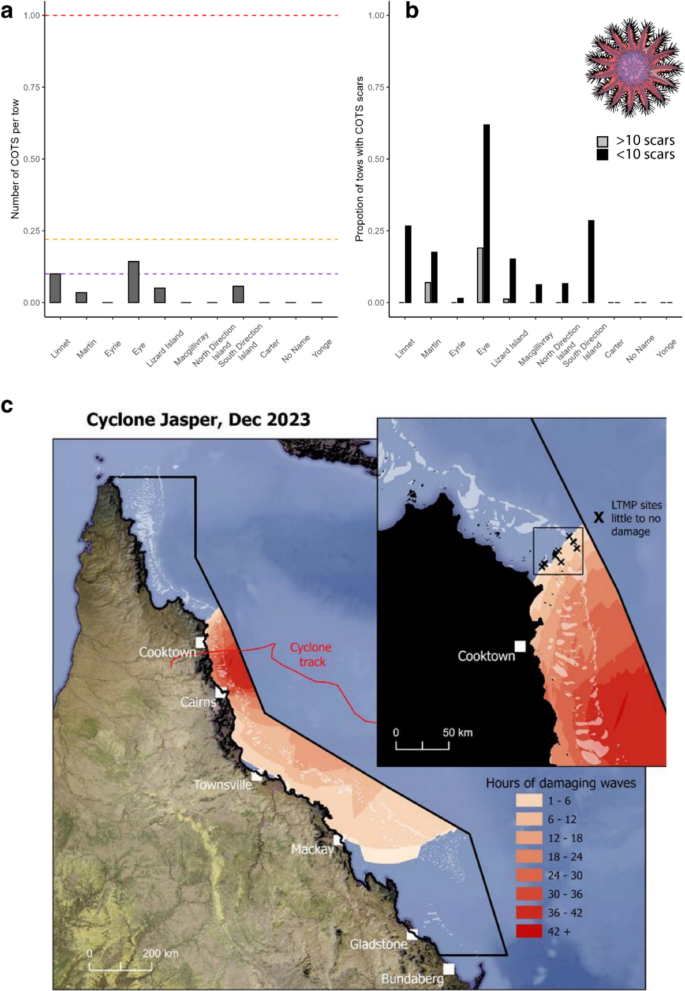 Anthropogenic climate change causes substantial loss of coral on the ...