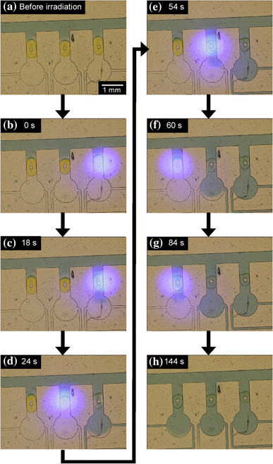 figure 18