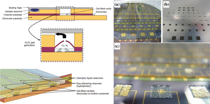 figure 22