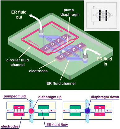 figure 30