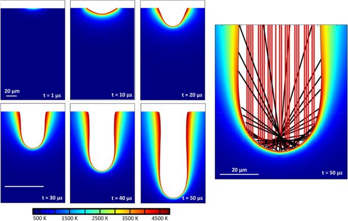 Infrared Laser Ablation Microsampling with a Reflective Objective