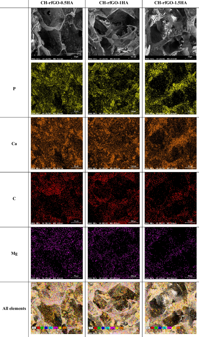 Nano hydroxyapatite architectonics to control the morphological,  mechanical, and rheological properties of CH-rfGO-HA scaffolds for bone  tissue | Applied Physics A