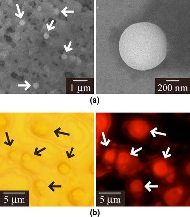 Nanophotonic droplet: a nanometric optical device consisting of size- and number-selective coupled quantum dots
