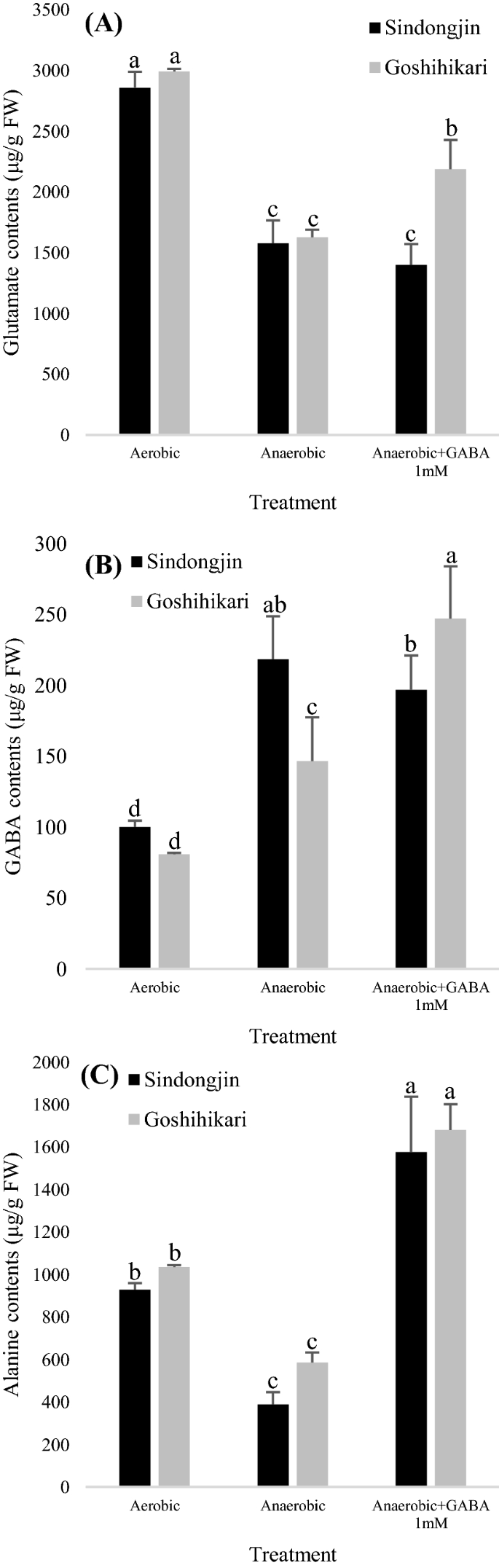 Production of γ-Aminobutyric Acid and Its Supplementary Role in the TCA  Cycle in Rice (Oryza sativa L.) Seedlings | SpringerLink