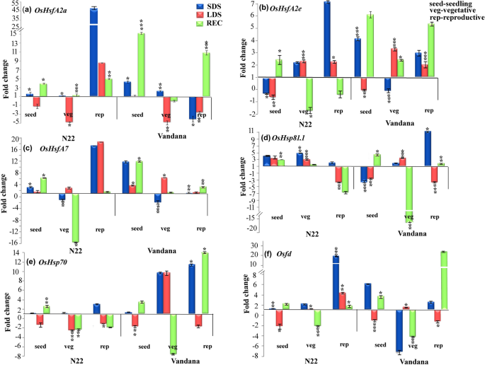 Expression Dynamics Of Genes And Micrornas At Different Growth Stages And Heat Treatments In Contrasting High Temperature Responsive Rice Genotypes Springerlink Expression Dynamics Of Genes And Micrornas At Different Growth Stages And Heat Treatments In Contrasting High Temperature Responsive Rice Genotypes Springerlink