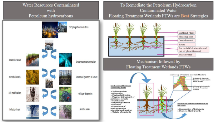 Floating Treatment Wetlands (FTWs) is an Innovative Approach for the  Remediation of Petroleum Hydrocarbons-Contaminated Water | SpringerLink