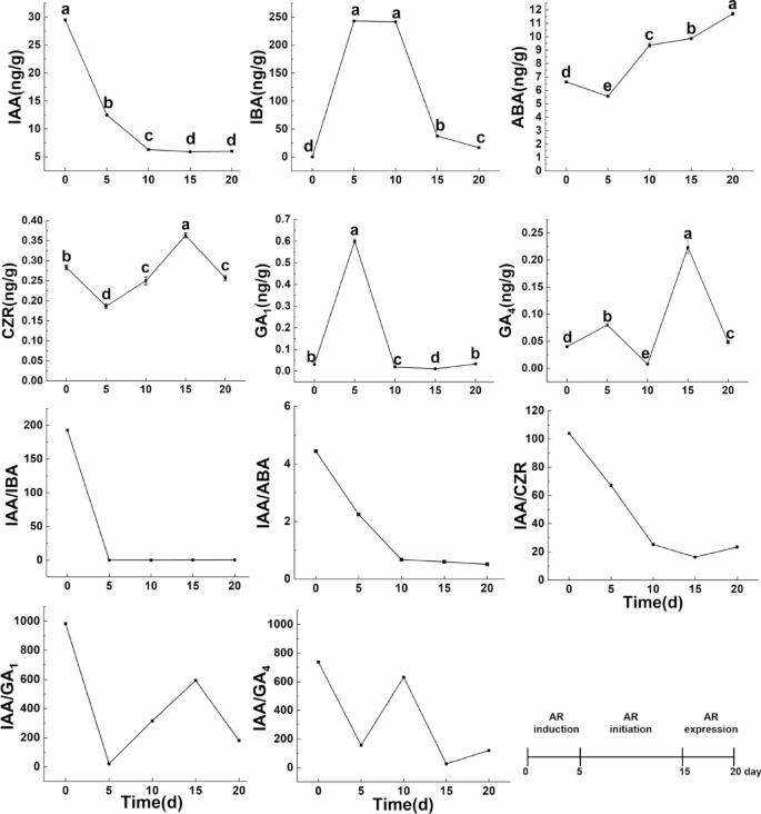 Physiological and Transcriptomic Analysis of Endogenous Hormones ...