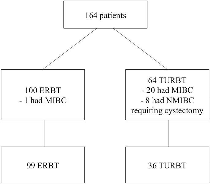 En Bloc Resection Of Bladder Tumour As Primary Treatment For Patients With Non Muscle Invasive Bladder Cancer Routine Implementation In A Multi Centre Setting Springerlink En Bloc Resection Of Bladder Tumour As Primary Treatment For Patients With Non Muscle Invasive Bladder Cancer Routine Implementation In A Multi Centre Setting Springerlink