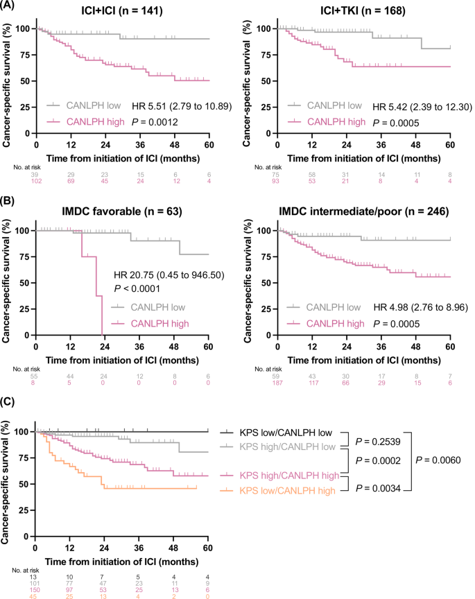 Deciphering RCC immunotherapy outcomes: insights from a Japanese multi ...