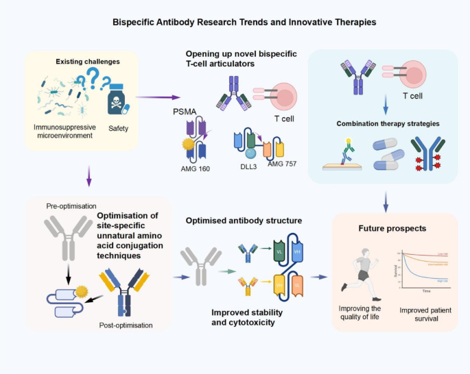 Bispecific antibodies in metastatic castration-resistant prostate ...