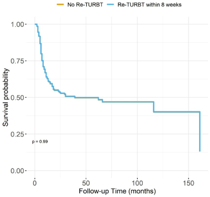 Repeat transurethral resection and contemporary oncologic outcomes ...