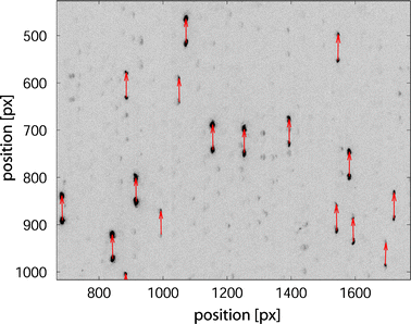 figure 18