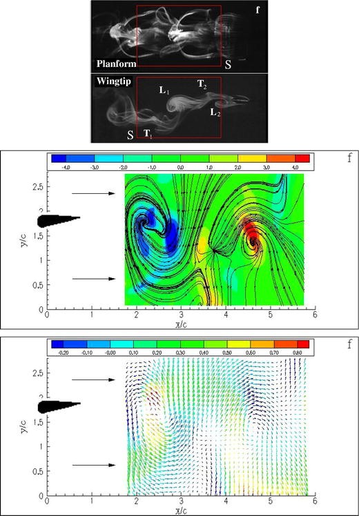 figure 19