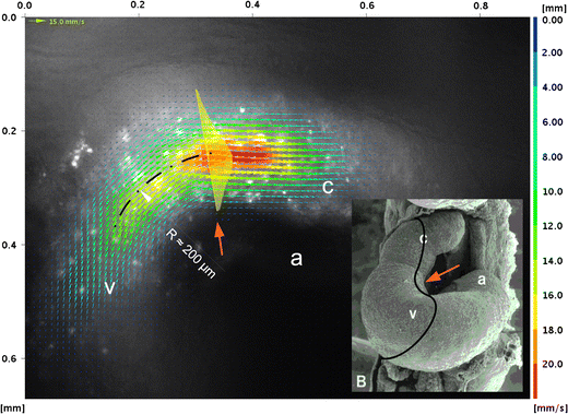 figure 16