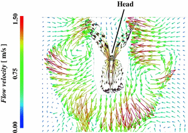Dynamic behavior of the vortex ring formed on a butterfly wing |  Experiments in Fluids | Springer Nature Link