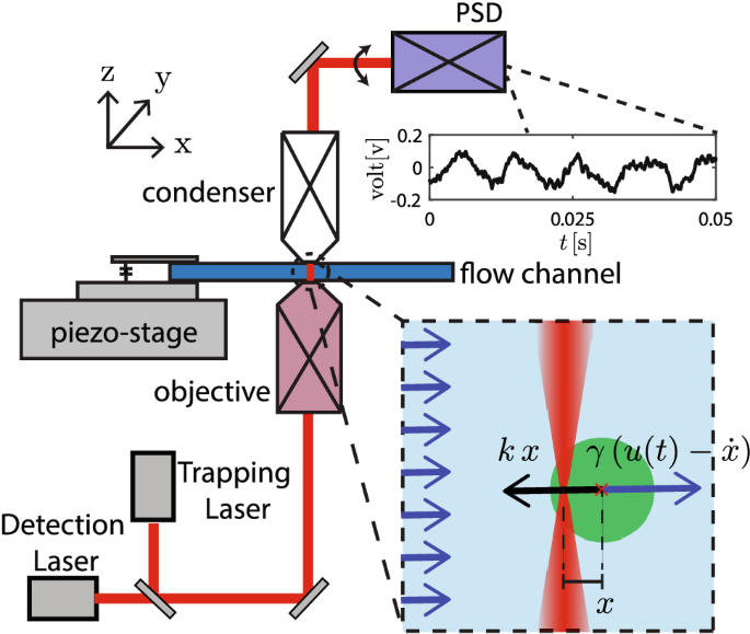 Optical tweezers-based velocimetry: a method to measure microscale unsteady  flows | SpringerLink
