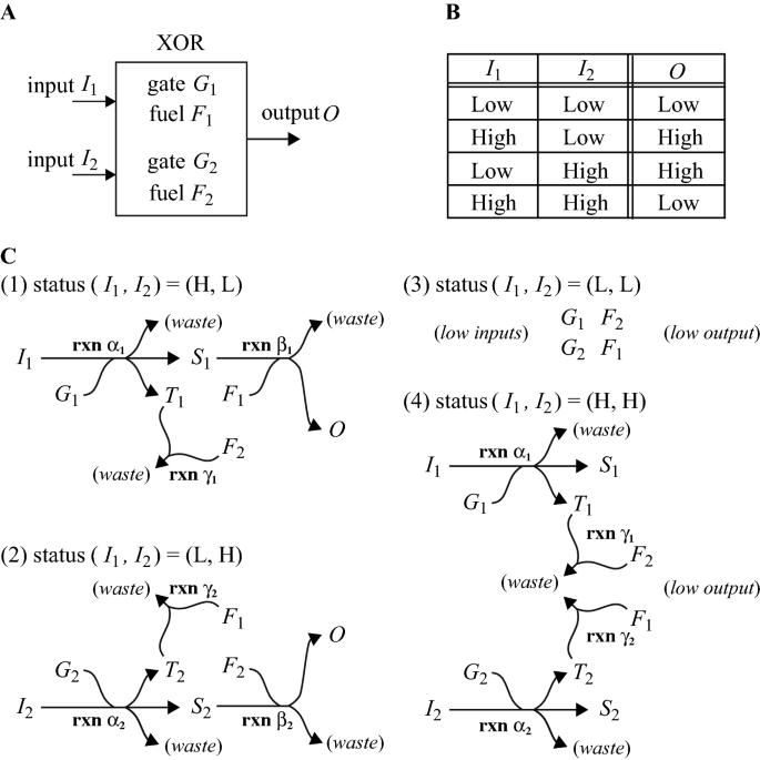 Xor Gate Design Toward A Practical Complete Set For Dna Computing Springerlink