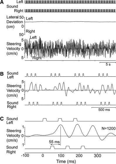 cricket chirp spectrogram displaying repetitive patterns with sharp pulses in bright red against black