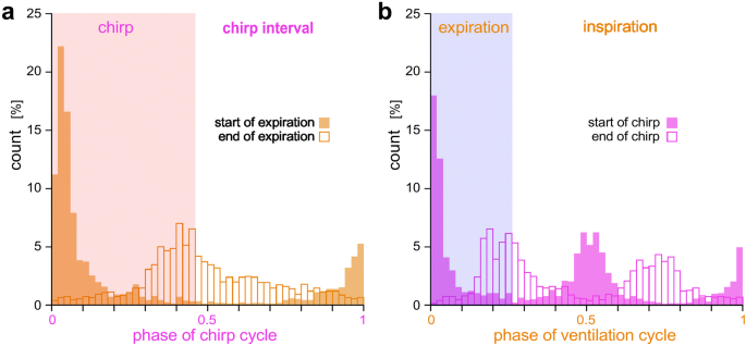 Feedforward Discharges Couple The Singing Central Pattern Generator And Ventilation Central Pattern Generator In The Cricket Abdominal Central Nervous System Springerlink