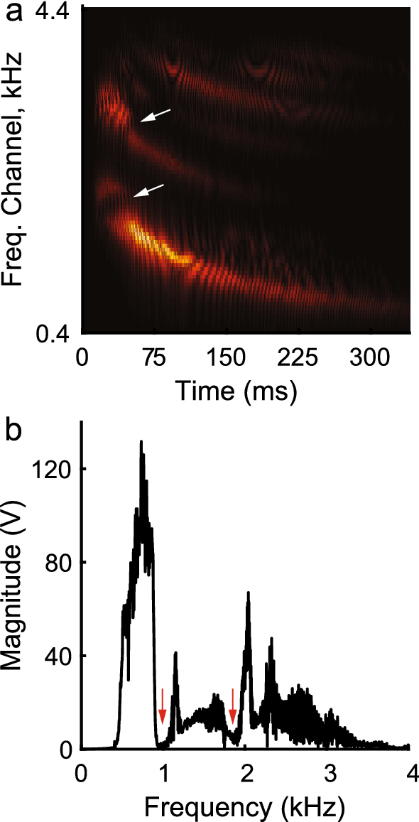 figure 11