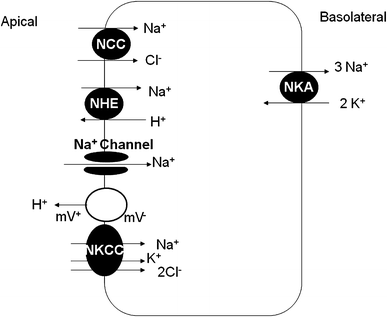 figure 14