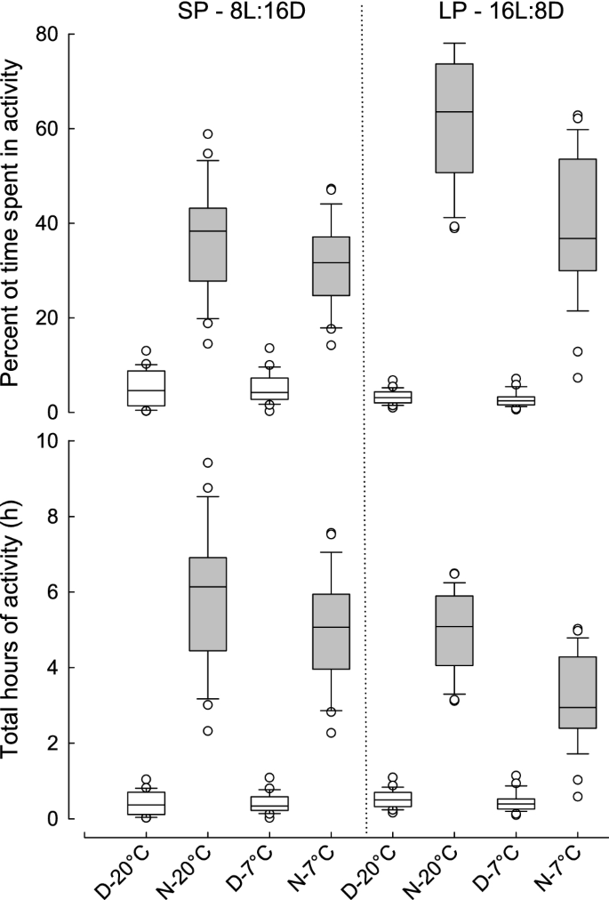 What is the Life Expectancy of a Dwarf Hamster: 9 Dynamic Power