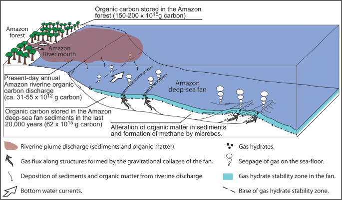 Gas seeps and gas hydrates in the Amazon deep-sea fan | SpringerLink