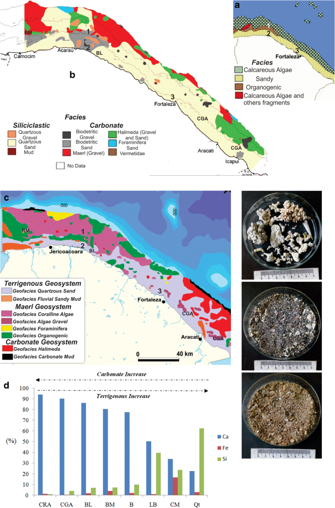 Morphological And Sedimentary Patterns Of A Semi Arid Shelf Northeast Brazil Springerlink