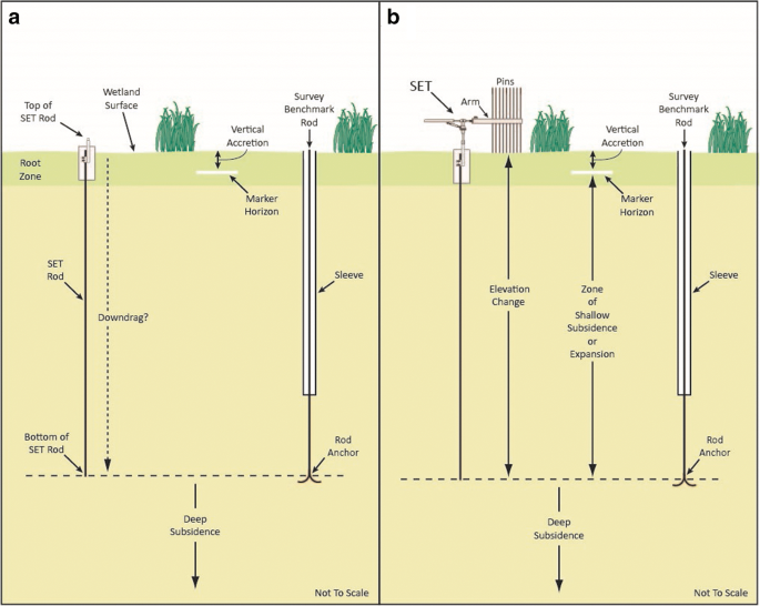 Applications and utility of the surface elevation table–marker horizon  method for measuring wetland elevation and shallow soil  subsidence-expansion | SpringerLink