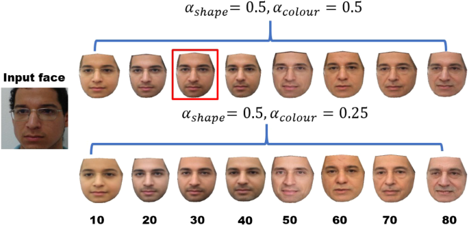 Examples of age-morphed (20 years, 40 years, 60 years) male and