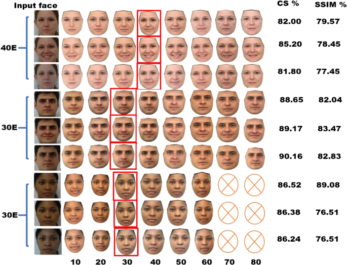 Examples of age-morphed (20 years, 40 years, 60 years) male and