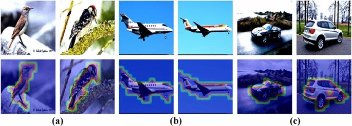Fine Grained Visual Classification Via Multilayer Bilinear Pooling With Object Localization Springerlink