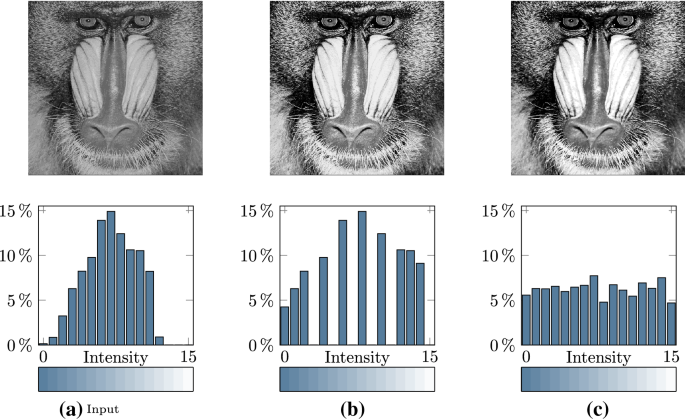 Histogram equalization using a selective filter | SpringerLink